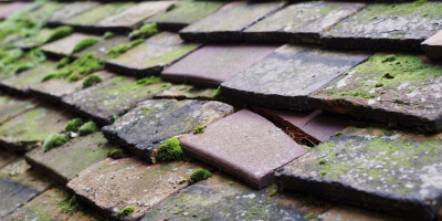 Avonmouth roof repair costs